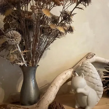 شقة La De L'ecureuil *